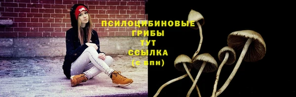 стафф Саяногорск